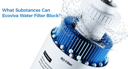 What Substances Can Ecoviva Water Filter Block?